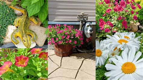 Дорожка с петуниями сейчас не такая как раньше. Подарок - сюрприз для ...