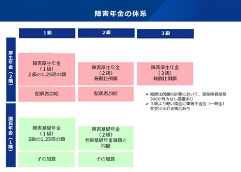 年金制度の仕組みと考え方第12障害年金