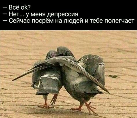 Pin by Сергей Е on Юмор картинки | Weekend humor, Facebook humor, Humor