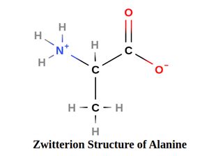 Zwitterion Definition Properties Structure Applications