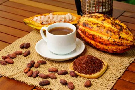 Beneficios Del Cacao Para La Mente Y El Cuerpo