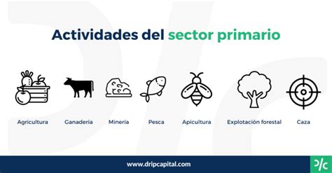Importancia Del Sector Primario En Colombia Sector Primario En