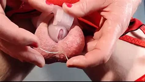 Free Sissy Leaking Shemale Porn Videos Xhamster