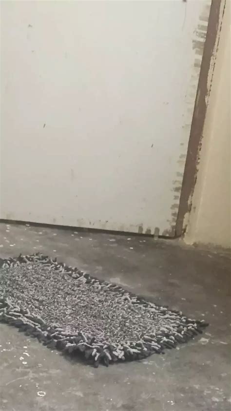 Bhaya Ne Choti Bahan Ko Chudai Kiya Akele Dekhkar Indian Gay Handjob Porn XHamster