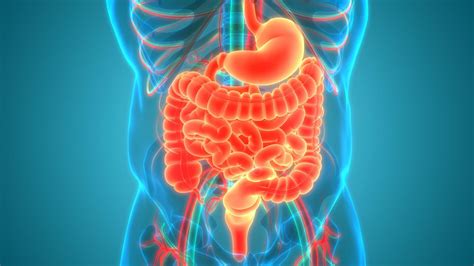 Hemofilia Typu A B C Diagnostyka Leczenie Dziedziczenie