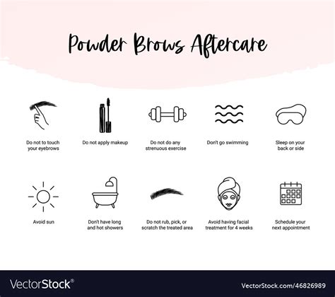 Powder Brows Aftercare Instruction Royalty Free Vector Image