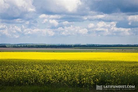 Рынок земли: международный опыт — Latifundist.com