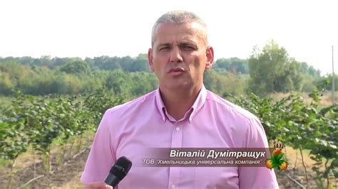 Фундук Золотой Орешек 2016 - YouTube