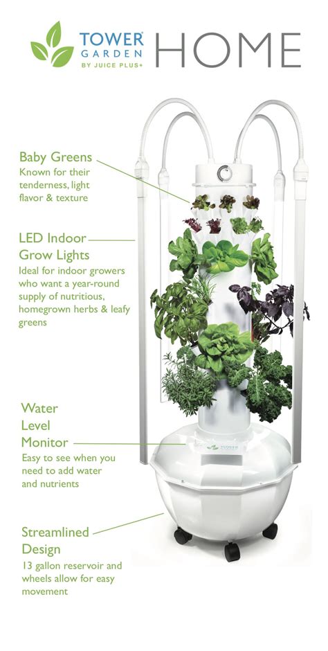 Indoor Farming Hydroponic Farming Indoor Garden Indoor Plants Juice