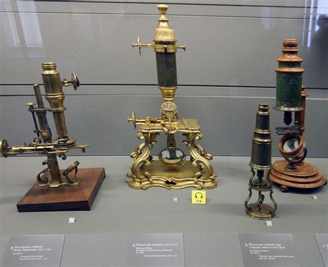 evolution   microscope timeline timetoast timelines