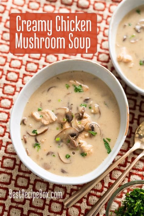 Creamy Chicken Mushroom Soup Recipe Easy Quick | Best Recipe Box