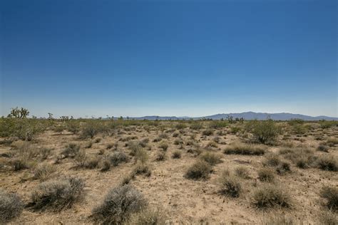 Mohave County Arizona 40 Acre Ranch Property Western Land Company