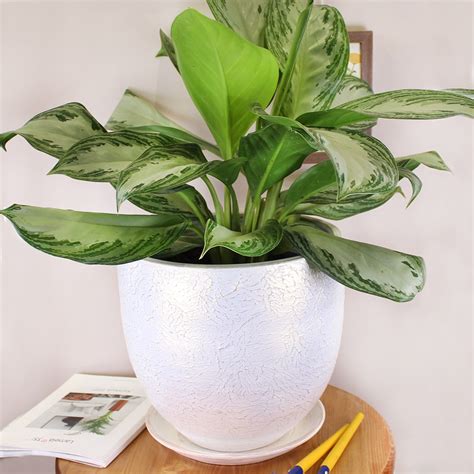 Купить Горшок ТЕКСТУРА 7,5л бутон белый-жемчужный 24см недорого по цене ...