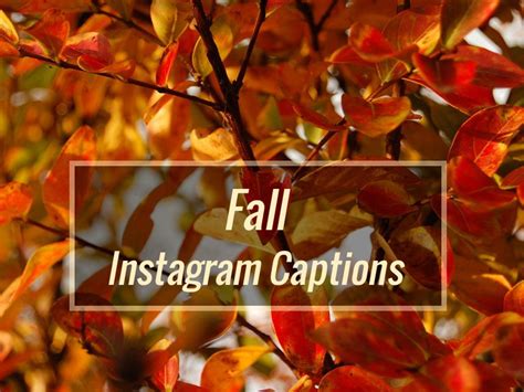 100+ Best Fall instagram captions | short cute simple funny IG quotes