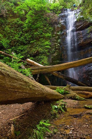 berry creek - santa cruz | Big basin, Waterfall, State parks