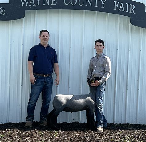 Grand Champion Market Lamb 2023 Wayne Jackpot Hild Club Lambs