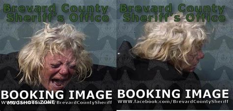 GILES CHRISANN 12 04 2023 Brevard County Mugshots Zone