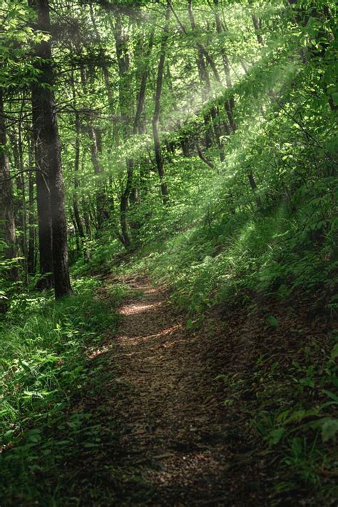 2025 Conference | ASA