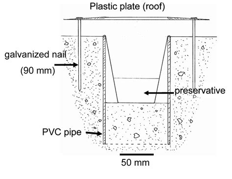 Cross Section Of Non Baited Kill Pitfall Trap Knb Design Used During