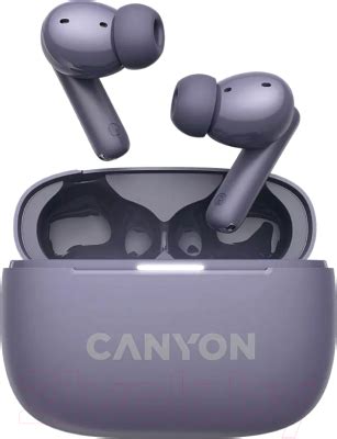 Canyon TWS-10 / CNS-TWS10PL Беспроводные наушники купить в Минске ...