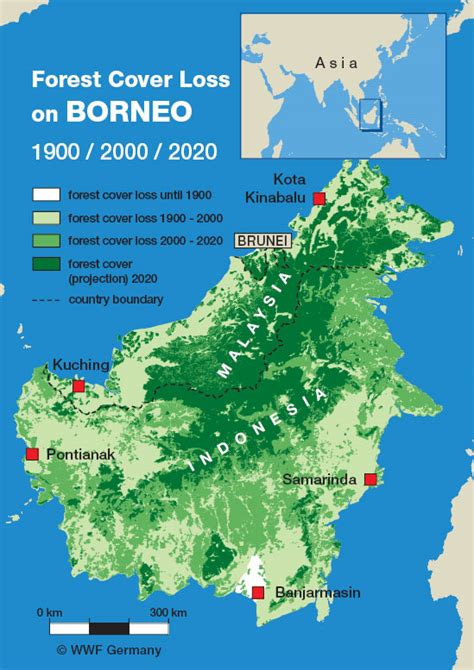 Borneo Forest Loss, WWF – The Borneo Project