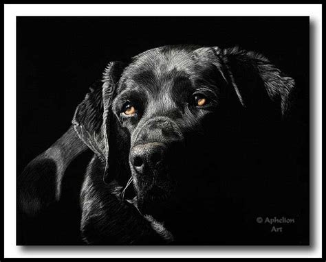 Scratchboard Art By Cathy Sheeter Soulful Scratchboard Art