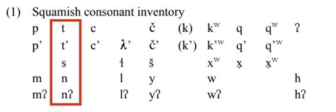 Coronal Inlp Linguistic Glossary