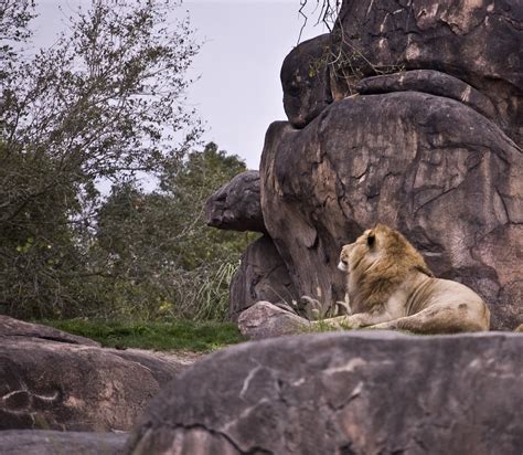 DSC_0109 | M. | Flickr