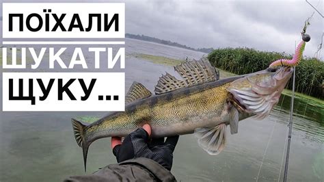 Рибалимо на великий силікон на Дніпрі. Берегова, джигова, спіннінгова ...