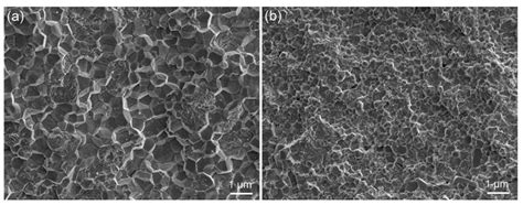 Applied Sciences Free Full Text Microstructure Flexural Strength