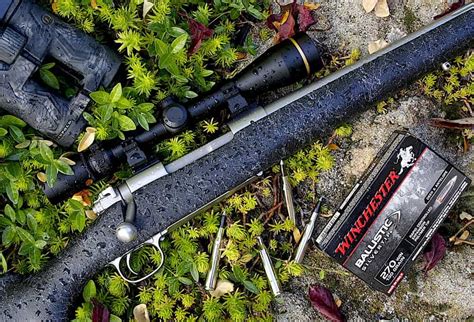 Best Scope For 270 Winchester My 4 Top Optics In 2025 Scopes Review