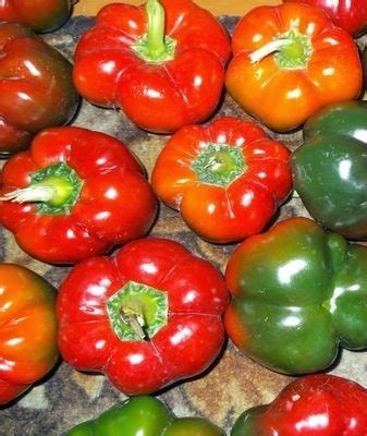 Перец Гогошары: характеристика и описание сорта + фото Гогошары