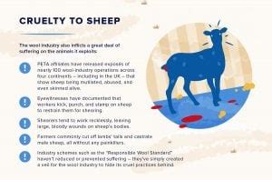 Peta Infographic The Wool Industry Is Ruining The Planet Peta