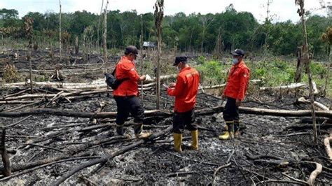 Daerah Di Sumsel Sudah Tetapkan Status Siaga Darurat Karhutlah