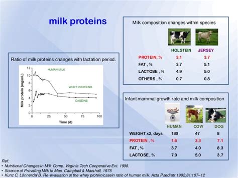 Alpha Lactalbumin - Development path for a valuable dairy protein ing…