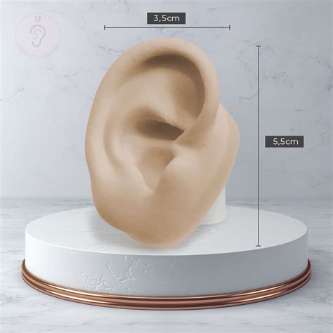 Kit Expositor Orelha Oval Nariz Umbigo Nude Expositores De Silicone