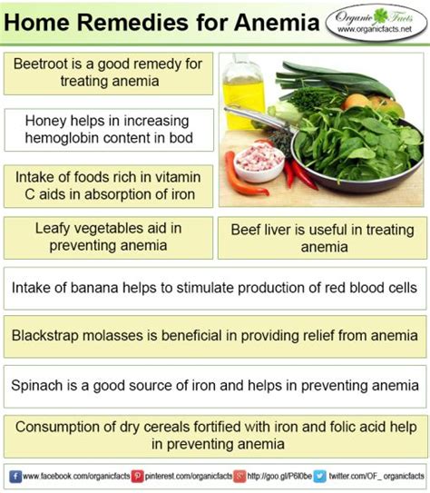 Home Remedies For Anemia Organic Facts