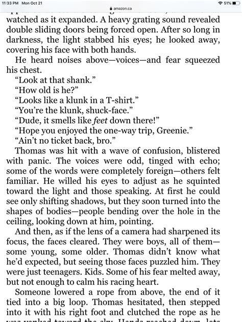 Mrs D G Novel Excerpts