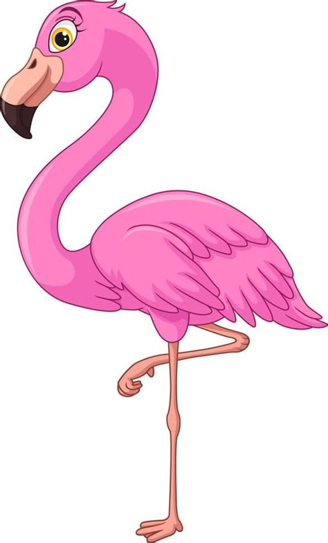 Cartoon flamingo on white background | Flamingo illustration, Flamingos