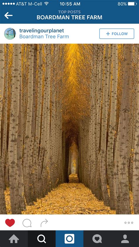 Boardman Tree Farm Oregon Landscape Pictures Nature Photography