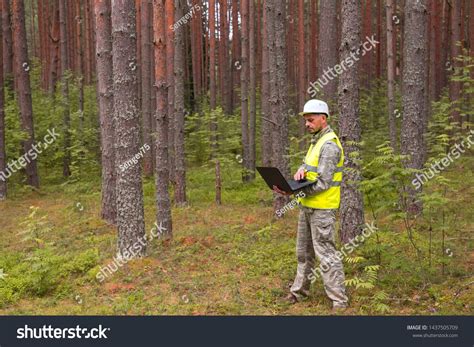 The Engineer Of The Forest Industry Makes Forest Inventory On The