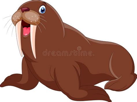 Cute Cartoon Walrus Happy A Smile Stock Vector Illustration Of