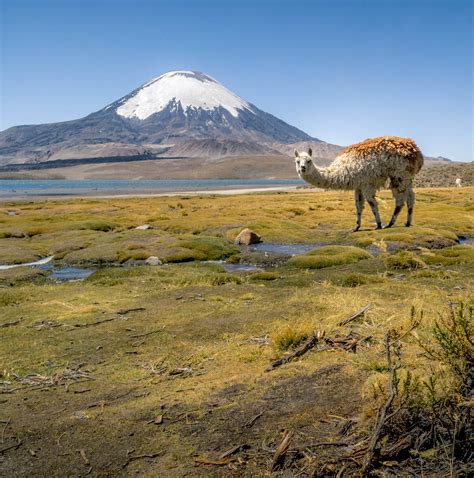 10 Best Chile Tours & Trips from Santiago - TourRadar