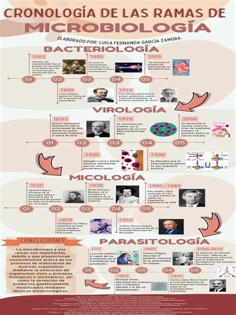 Ramas De La Microbiología Pdf Medicina Microbiología