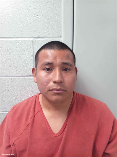 Exploring Recent Bookings in Logan County, Kentucky: A Growing Destination 2