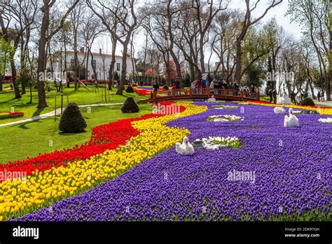 Istanbul Tulip Festival In Emirgan Stock Photo Alamy