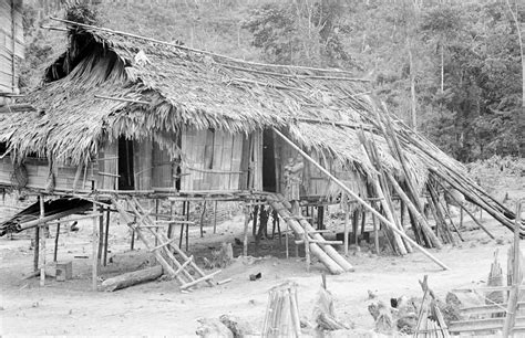 Photos of Semang people in Malaysia, circa 1960. : r/TheWayWeWere