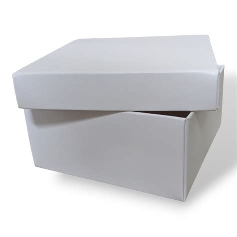 100 Box 50mm High BPS100S50