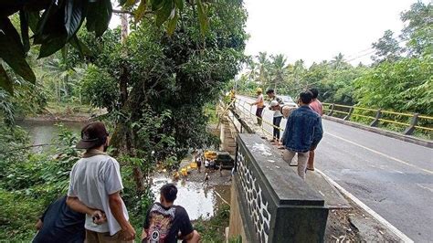 Sopir Mengantuk Pick Up Muatan Buah Terjun Ke Sungai Di Jembrana