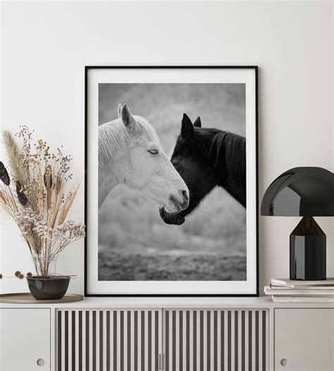 Horse Art Black and White Horse Print Horse Photography - Etsy